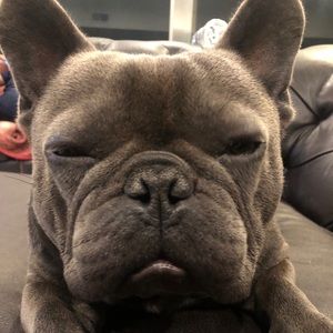 Meet your Posher, Talya